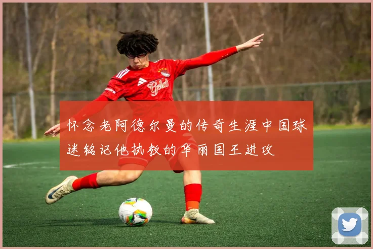怀念老阿德尔曼的传奇生涯中国球迷铭记他执教的华丽国王进攻