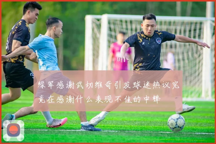绿军感谢武切维奇引发球迷热议究竟在感谢什么表现不佳的中锋